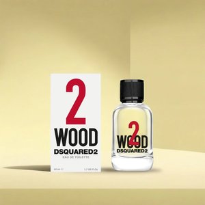 Купити DSQUARED2 2 Wood в Україні