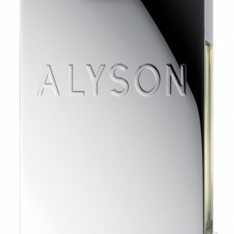 Купить Alyson Oldoini Chocman Mint edp 2,5 ml. мужской ( парфюмированная ткань) в Украине