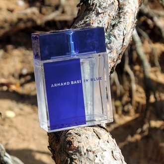 Купить Armand Basi In Blue тестер в Украине