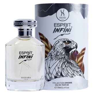 Купить Hayari Parfums Esprit Infini edp 70 ml. унісекс ( ТЕСТЕР ) в Украине