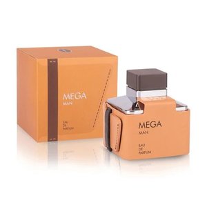 Купить Flavia Mega Man edp 100 ml. чоловічий ( ПРИМ'ЯТИЙ ) ( СТОК ) в Украине