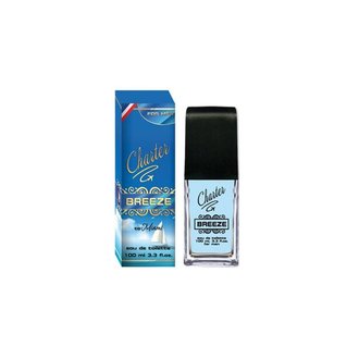 Купить Chaser Breеze edt 100 ml. мужской в Украине