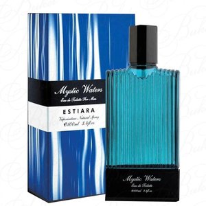 Купить Estiara Mystic Water edt 100 ml. мужской в Украине