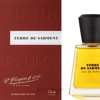 Купить Frapin Terre de Sarment edp 100 ml. унісекс ( ТЕСТЕР ) в Украине