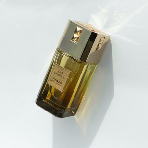 Купить Gio L'Arome Topazio exdp 10 ml. унісекс ( МІНІАТЮРА ) ( ПРИМ'ЯТИЙ ) в Украине